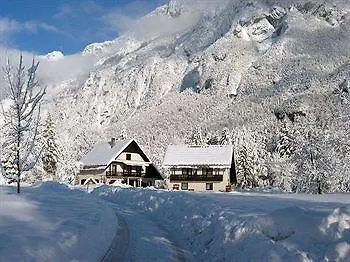 מלון Alpik - Bohinj 3*