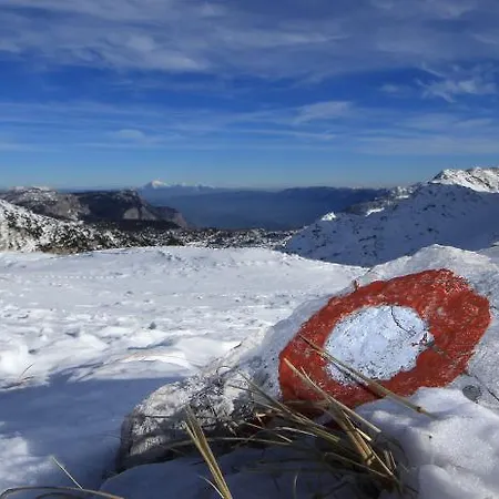 Alpik - Bohinj