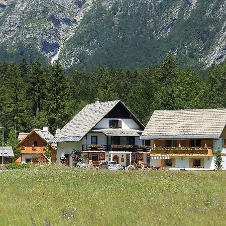 Hotel Alpik Chalets - Bohinj