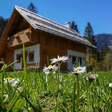 Alpik - Bohinj מלון 3*