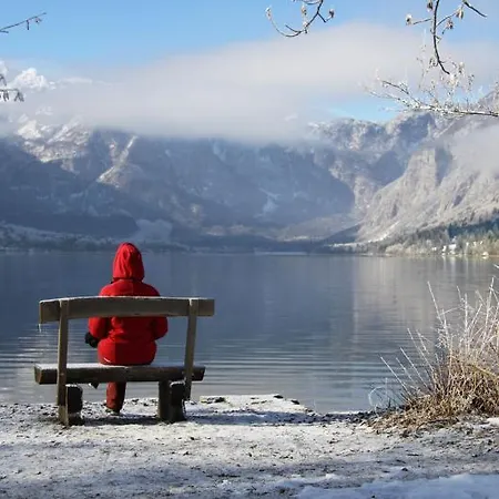 Alpik - Bohinj מלון 3*